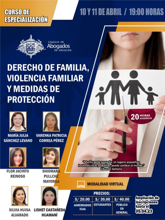 Curso De Especializaci N En Derecho De Familia Violencia Familiar Y